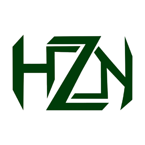 hdznsyr.com